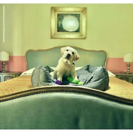 Bridge Hotel Бани ди Лука Екстериор снимка